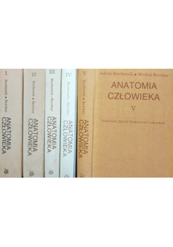 Anatomia człowieka Tom I do V