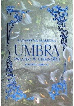 Umbra Tom 2