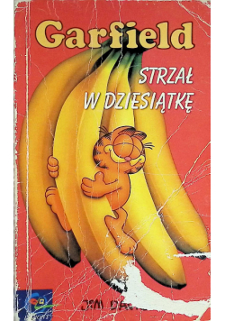 Garfield Strzał w dziesiątkę