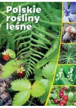 Polskie rośliny leśne
