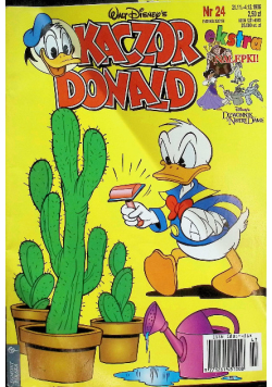 Kaczor Donald 24