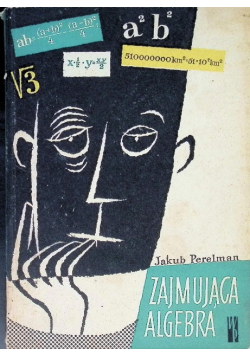Zajmująca algebra