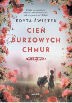 Cień Burzowych Chmur