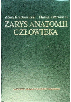 Zarys anatomii człowieka