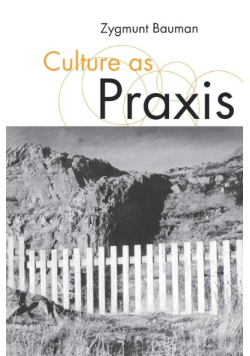 Culture as Praxis