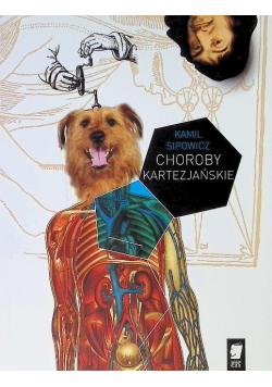 Choroby kartezjańskie