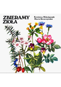 Zbieramy zioła
