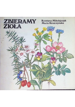 Zbieramy zioła