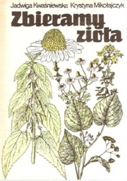 Zbieramy zioła