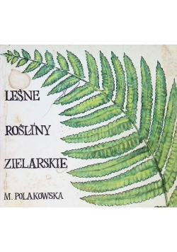 Leśne rośliny zielarskie