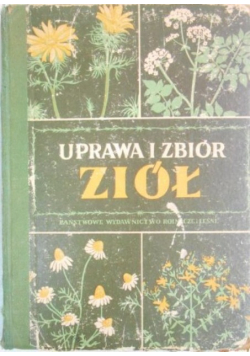 Uprawa i zbiór ziół