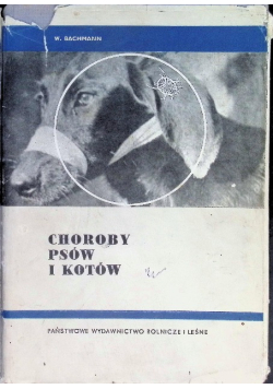 Choroby psów  i kotów