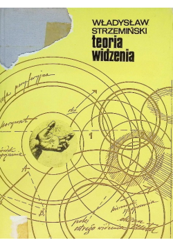 Teoria widzenia