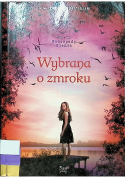 Wybrana o zmroku
