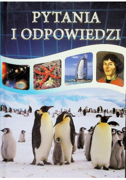 Pytania i odpowiedzi