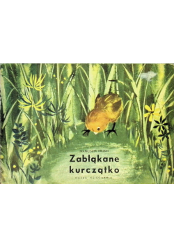 Hrubin zabłąkane kurczątko