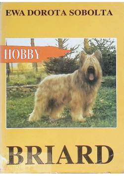 Hobby Briard