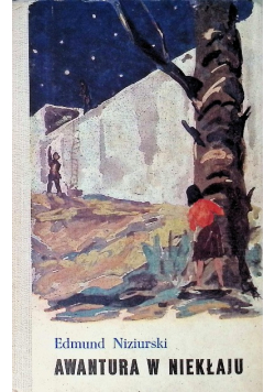 Awantura w niekłaju