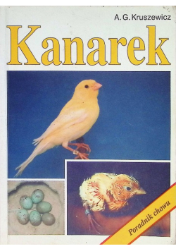 Kanarek