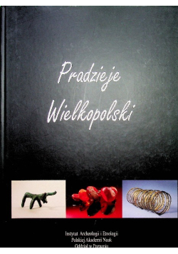 Pradzieje Wielkopolski Od epoki kamienia do średniowiecza