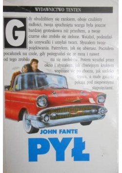 Pył