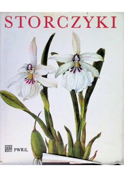 Storczyki