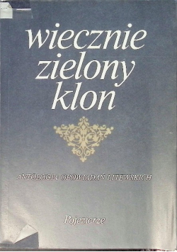 Wiecznie zielony klon