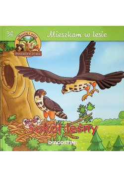 Sokół leśny Tom 34