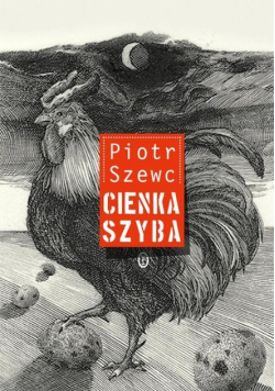Cienka szyba