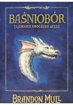 Tajemnice smoczego azylu Baśniobór Tom 4