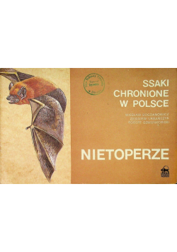 Ssaki chronione w Polsce Nietoperze
