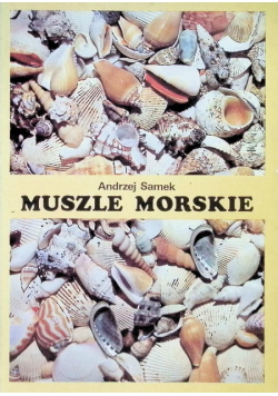 Muszle morskie