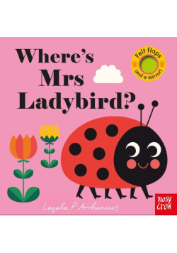 Where’s Mrs Ladybird?