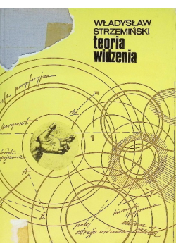 Teoria widzenia