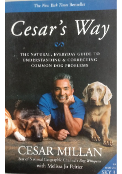 Cesars Way