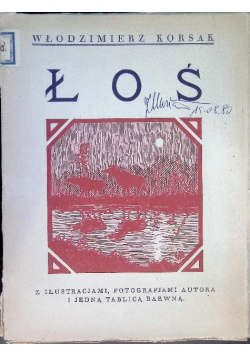 Łoś w Polsce 1934 r.