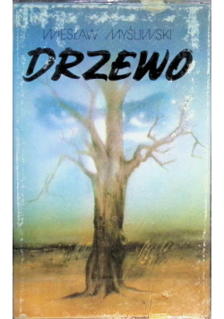 Drzewo