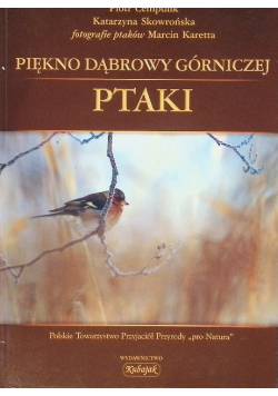 Piękno Dąbrowy Górniczej Ptaki