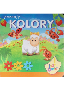 Poznaję kolory