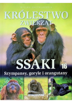 Wielka encyklopedia Królestwo zwierząt Tom 16 Ssaki szympansy, goryle i orangutany