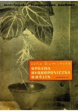 Uprawa hydroponiczna roślin