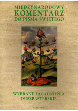 Wybrane Zagadnienia Duszpasterskie. Międzynarodowy Komentarz Do Pisma Święt