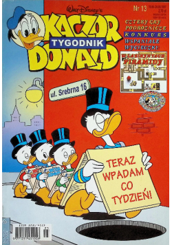 Kaczor Donald  13