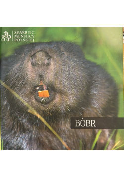 Bóbr grunt to rodzina