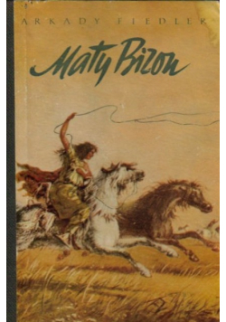 Mały Bizon