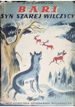 Bari Syn szarej wilczycy, 1949 r.