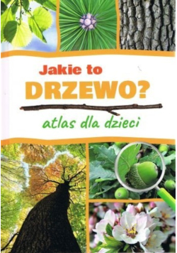 Jakie to drzewo? Atlas dla dzieci