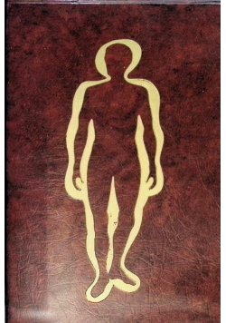 Anatomia człowieka repetytorium