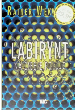 Labirynt na ciebie poluje