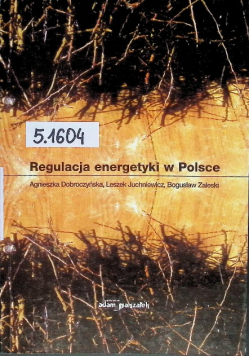 Regulacja energetyki w Polsce